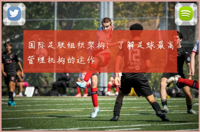 国际足联组织架构:了解足球最高管理机构的运作