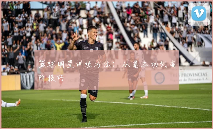 篮球明星训练方法:从基本功到高阶技巧